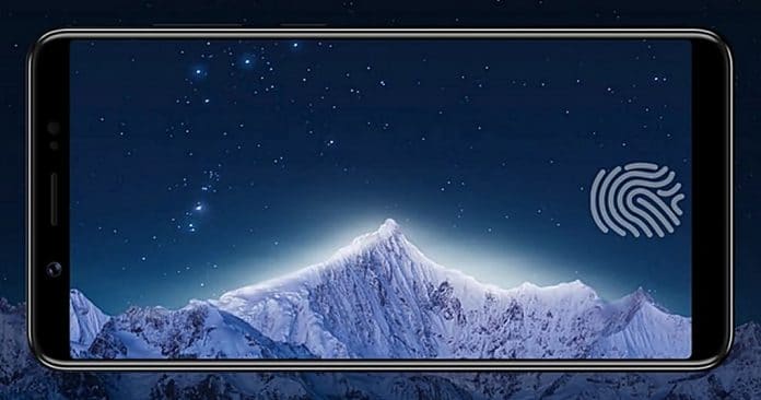 vivo