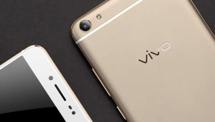 Vivo