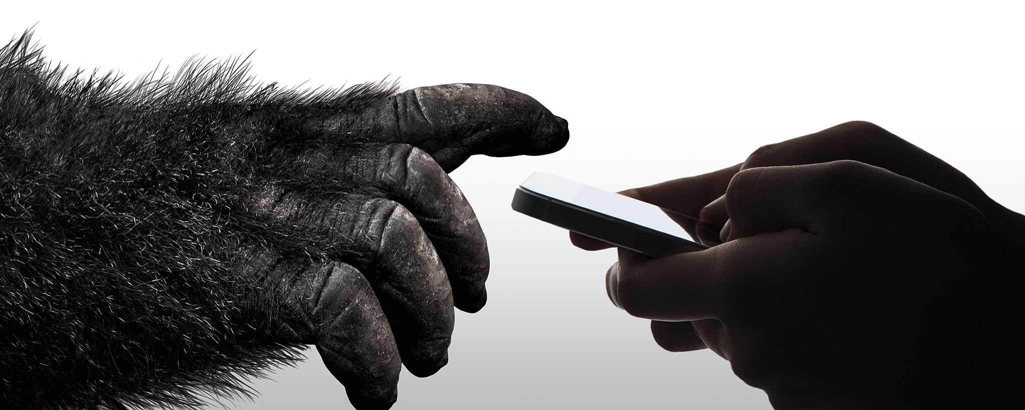 Gorilla Glass 6