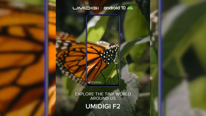 F2 (3)